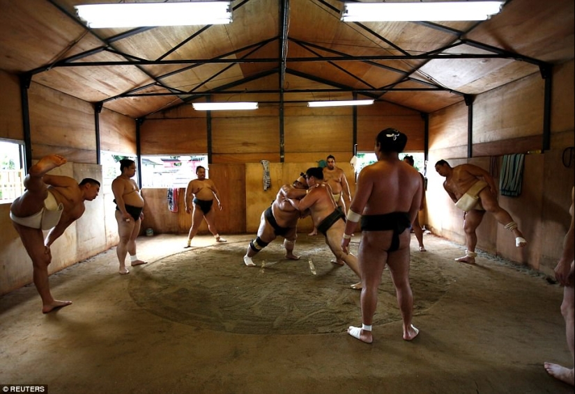 8.000 calorías al día y máscaras de oxígeno: cómo viven los luchadores de sumo 8.000 calorías al día y máscaras de oxígeno: cómo viven los luchadores de sumo