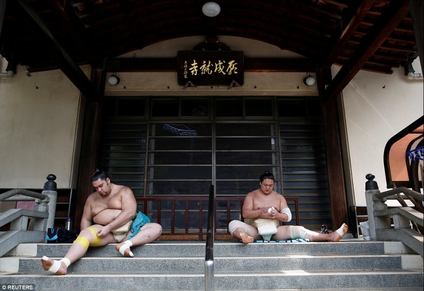 8.000 calorías al día y máscaras de oxígeno: cómo viven los luchadores de sumo 8.000 calorías al día y máscaras de oxígeno: cómo viven los luchadores de sumo