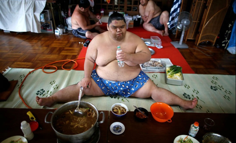 8000 calories a day and oxygen masks - how sumo wrestlers live