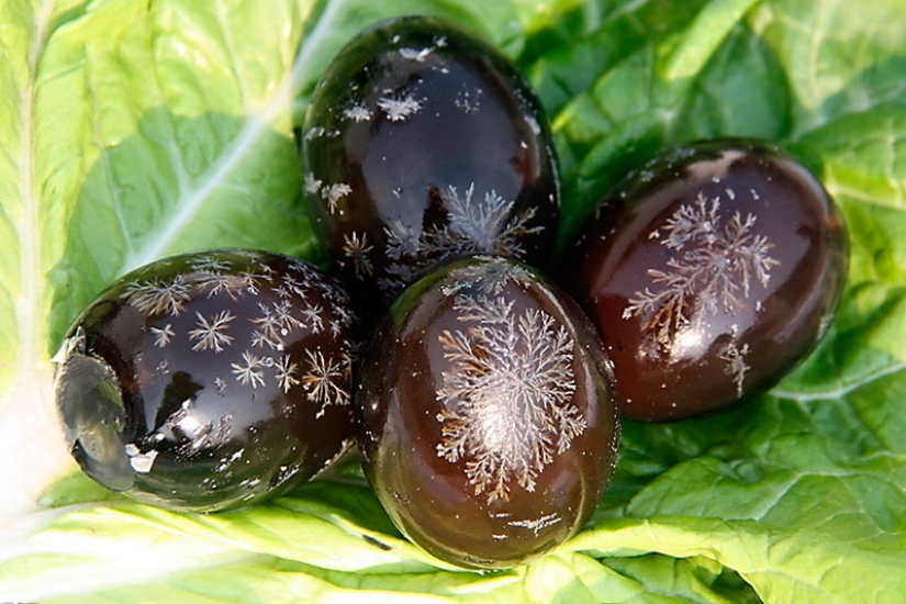 9 dishes from around the world that are buried in the ground before being eaten 9 dishes from around the world that are buried in the ground before being eaten