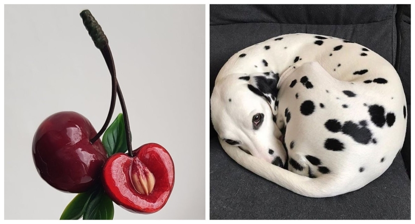 A delight for the eyes: 22 photos in which everything is perfect A delight for the eyes: 22 photos in which everything is perfect