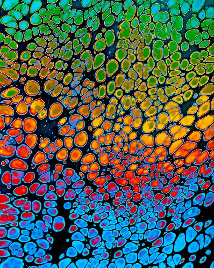 A delight for the eyes: 22 photos in which everything is perfect A delight for the eyes: 22 photos in which everything is perfect