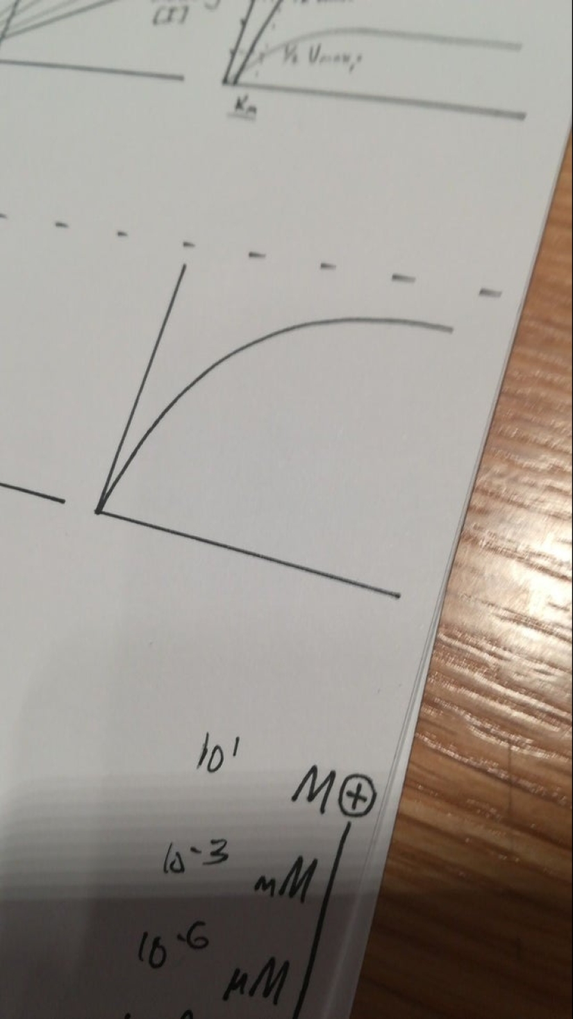 A delight for the eyes: 22 photos in which everything is perfect A delight for the eyes: 22 photos in which everything is perfect