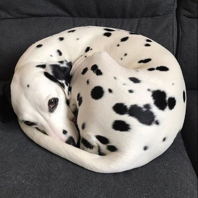 A delight for the eyes: 22 photos in which everything is perfect A delight for the eyes: 22 photos in which everything is perfect