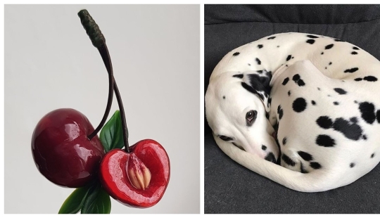 A delight for the eyes: 22 photos in which everything is perfect A delight for the eyes: 22 photos in which everything is perfect