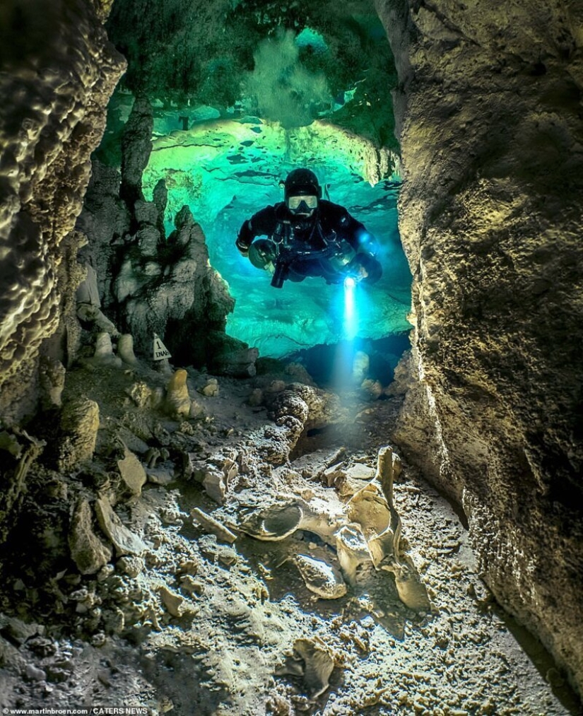 A diver risks his life making stunning images of underwater caves in Mexico
