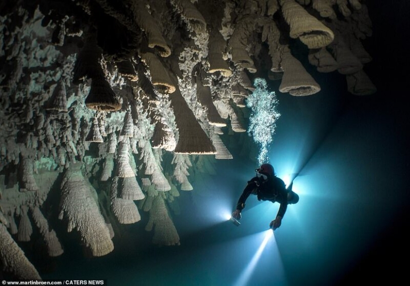 A diver risks his life making stunning images of underwater caves in Mexico
