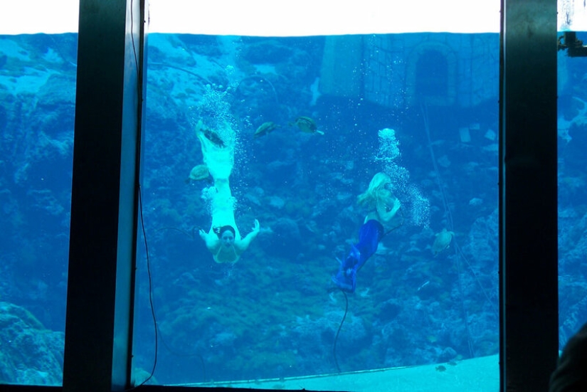 A fairy tale in reality: 7 places where you can see mermaids in real life A fairy tale in reality: 7 places where you can see mermaids in real life