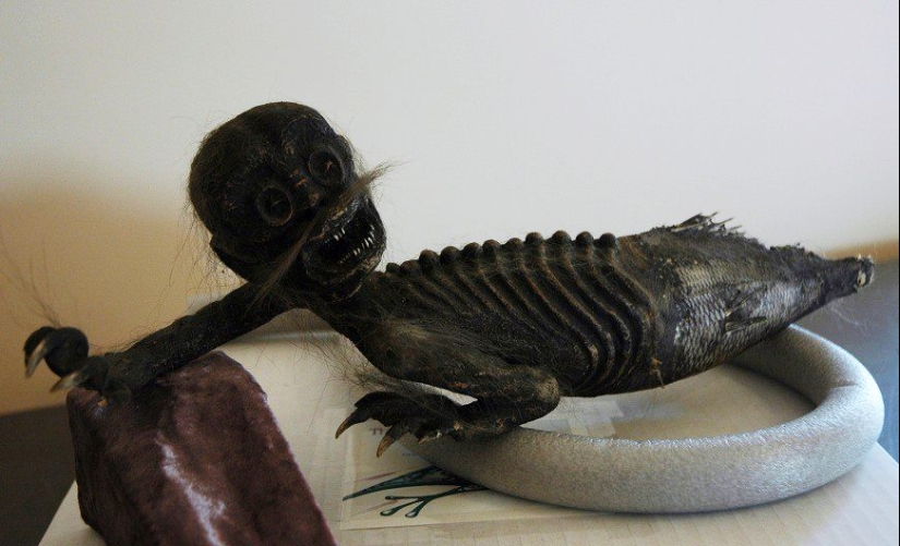 A fairy tale in reality: 7 places where you can see mermaids in real life A fairy tale in reality: 7 places where you can see mermaids in real life