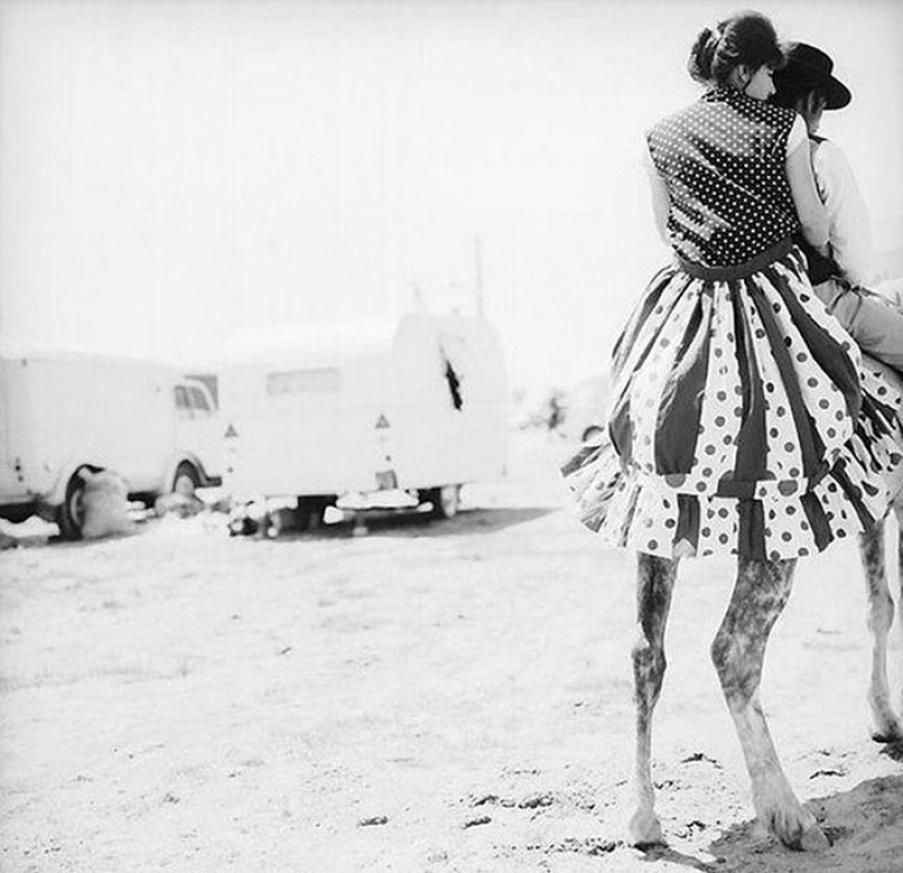 A French sitcom by Rene Maltet A French sitcom by Rene Maltet