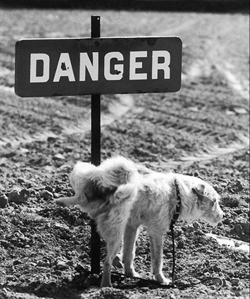 A French sitcom by Rene Maltet A French sitcom by Rene Maltet