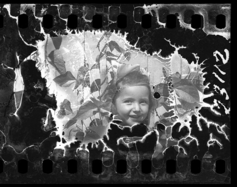 A Jewish photographer captured life in the ghetto in occupied Poland at his own risk.