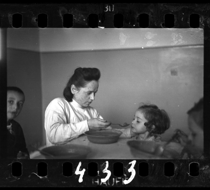 A Jewish photographer captured life in the ghetto in occupied Poland at his own risk.