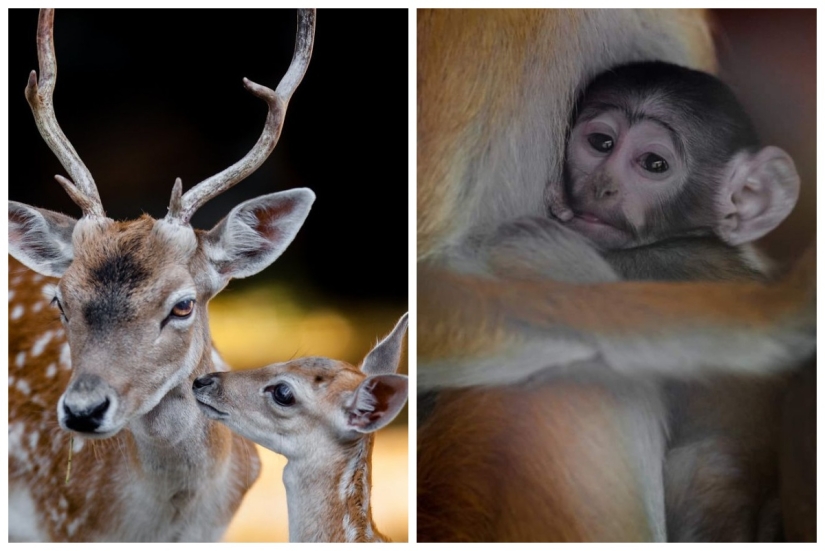 A partir de estas fotos es más cálido