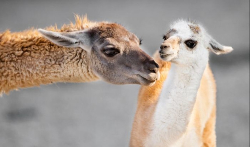 A partir de estas fotos es más cálido