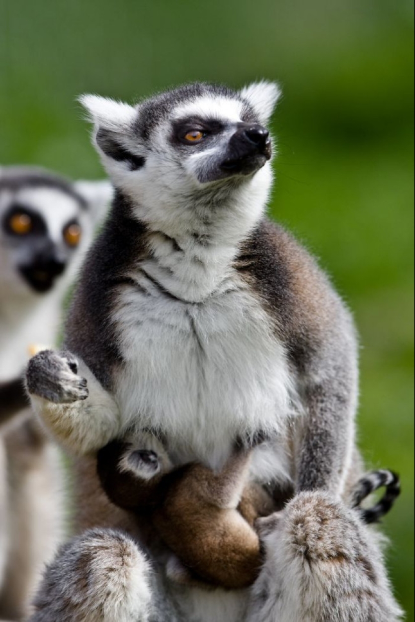 A partir de estas fotos es más cálido