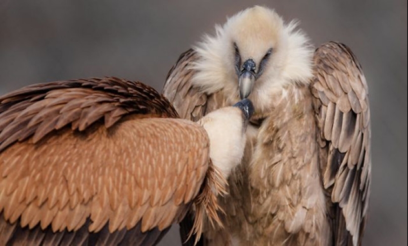 A partir de estas fotos es más cálido