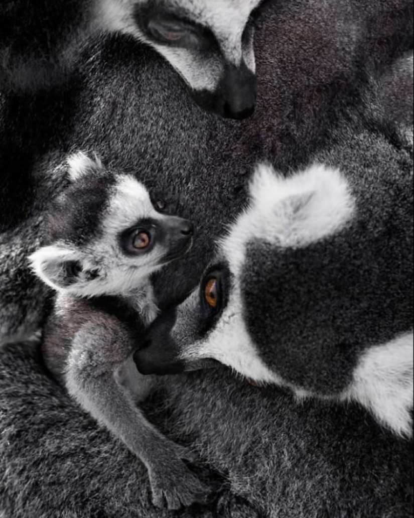 A partir de estas fotos es más cálido