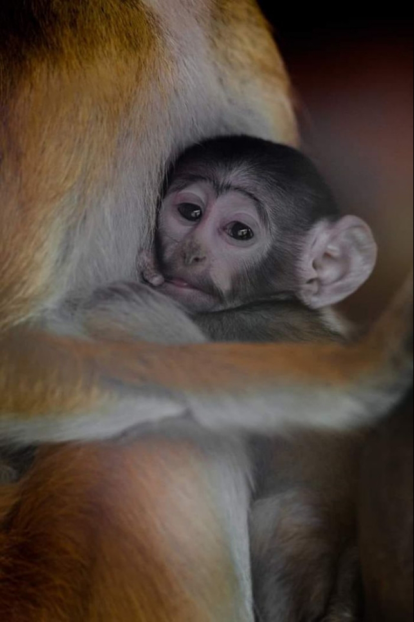 A partir de estas fotos es más cálido
