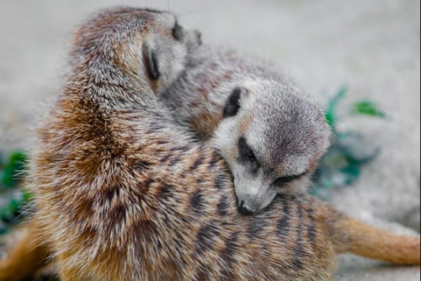 A partir de estas fotos es más cálido
