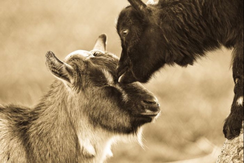 A partir de estas fotos es más cálido