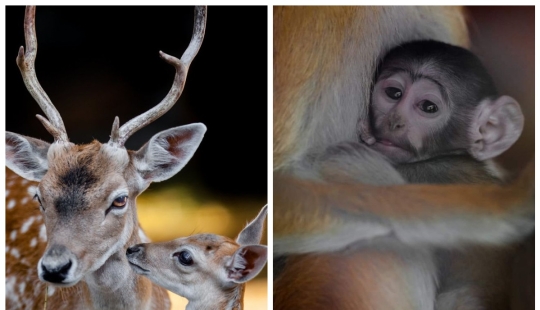 A partir de estas fotos es más cálido A partir de estas fotos es más cálido