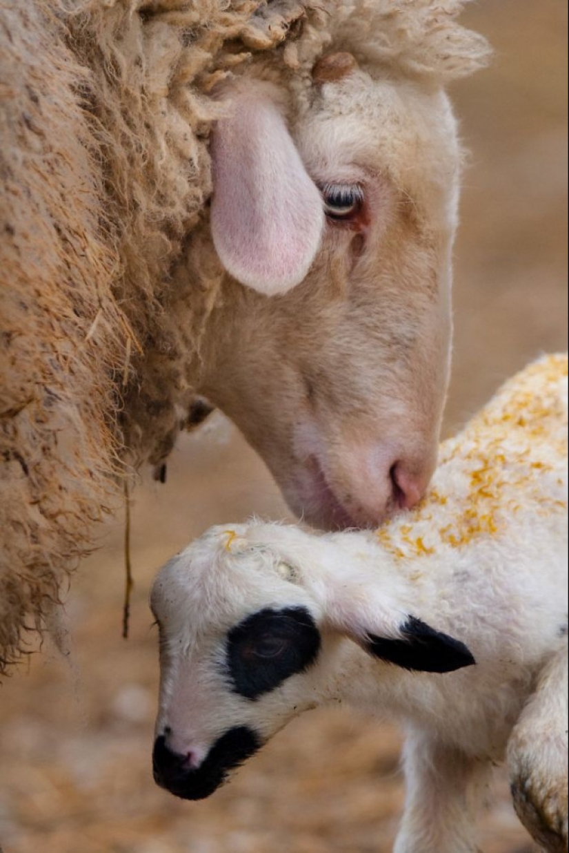 A partir de estas fotos es más cálido