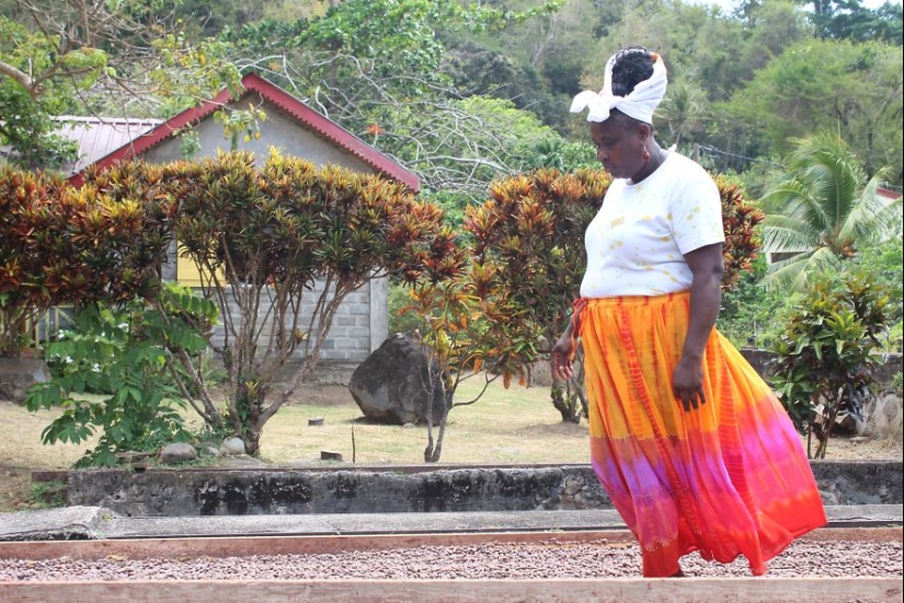 A partir de las vainas del árbol a la barra de chocolate terminado: ¿cómo craftsy de chocolate
