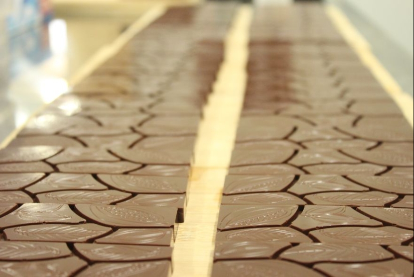 A partir de las vainas del árbol a la barra de chocolate terminado: ¿cómo craftsy de chocolate