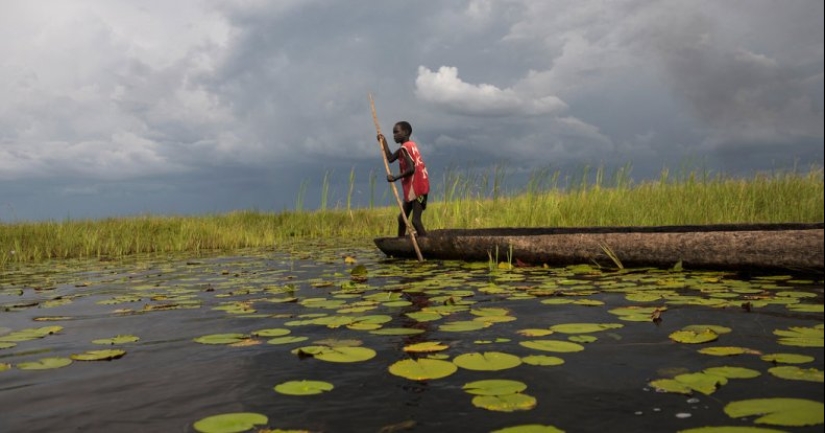 A picturesque village in a swamp in South Sudan A picturesque village in a swamp in South Sudan