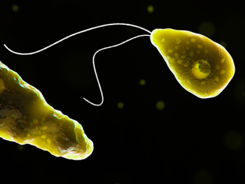 A real miracle: 10 of the most amazing cases of healing in medicine A real miracle: 10 of the most amazing cases of healing in medicine