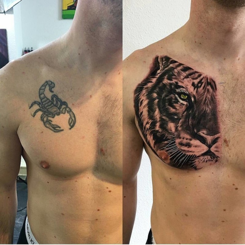 A second chance: 20 examples of ceilings of the old tattoo A second chance: 20 examples of ceilings of the old tattoo