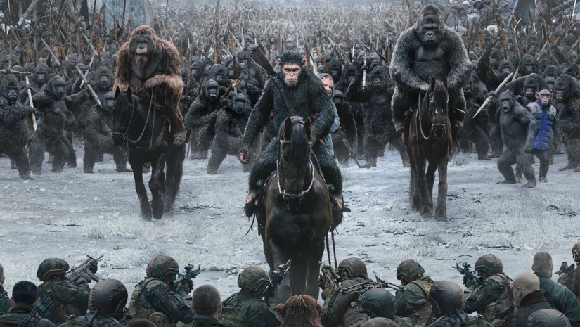 A todas las personas: cómo dos clanes de los chimpancés dio 4 años de sangrienta guerra