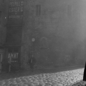 A tourist bought an envelope at a flea market, where he found negatives from an unknown genius