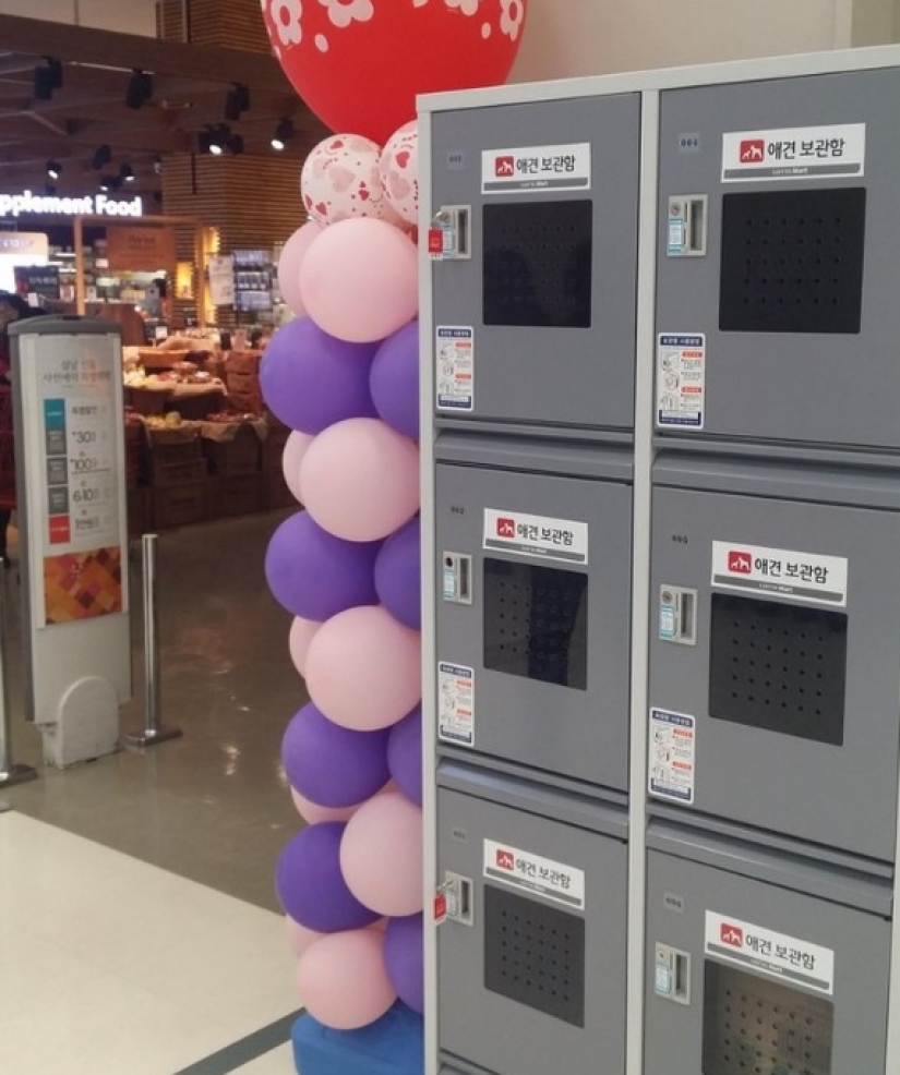 A typical South Korean household oddities that we could use A typical South Korean household oddities that we could use