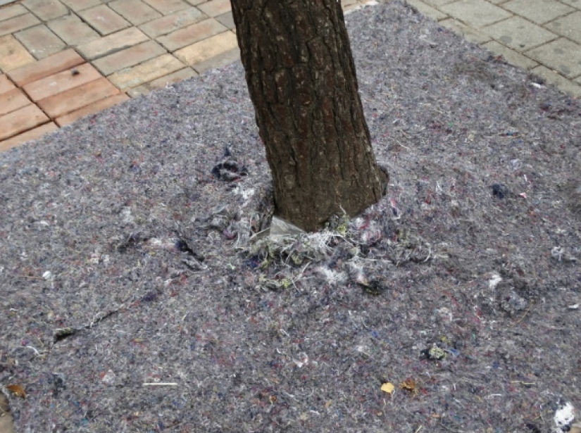 A typical South Korean household oddities that we could use A typical South Korean household oddities that we could use