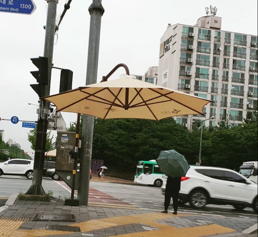 A typical South Korean household oddities that we could use A typical South Korean household oddities that we could use