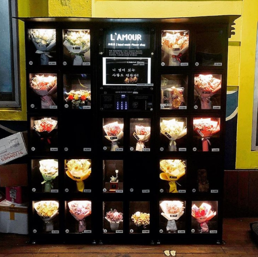 A typical South Korean household oddities that we could use A typical South Korean household oddities that we could use