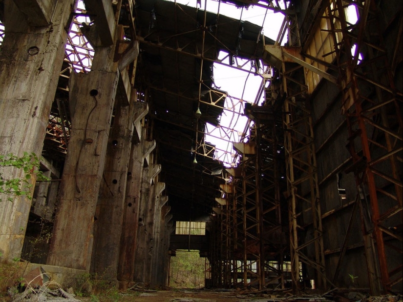 A world without humans: 35 frightening and beautiful sabrosas