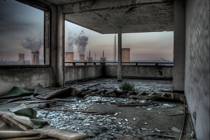 A world without humans: 35 frightening and beautiful sabrosas