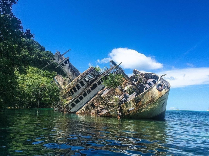 Abandonado en medio del paraíso: el crucero se hizo famoso en todo el mundo tras el accidente
