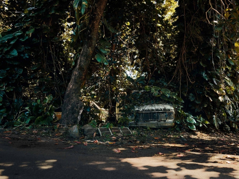 Abandoned cars in the Hawaiian jungle: a photographic project of Thomas Strigelsky Abandoned cars in the Hawaiian jungle: a photographic project of Thomas Strigelsky