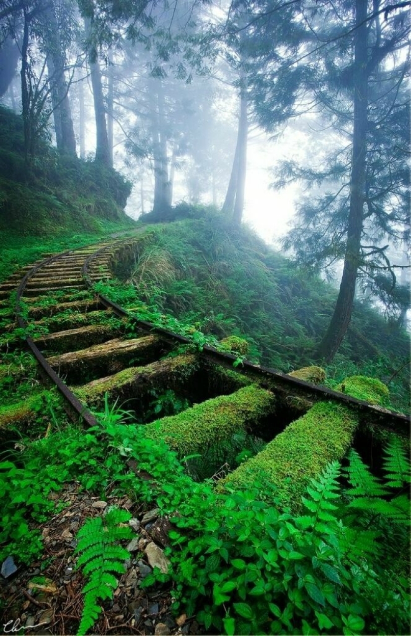 Abandoned railways