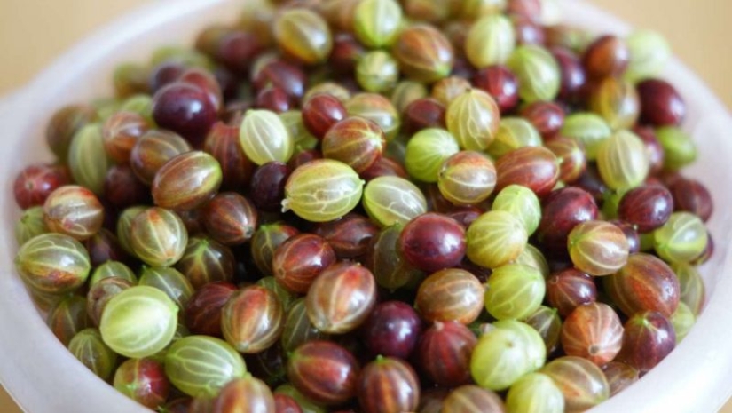 Abastecerse de vitaminas: cómo congelar las bayas y las frutas