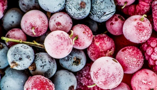 Abastecerse de vitaminas: cómo congelar las bayas y las frutas