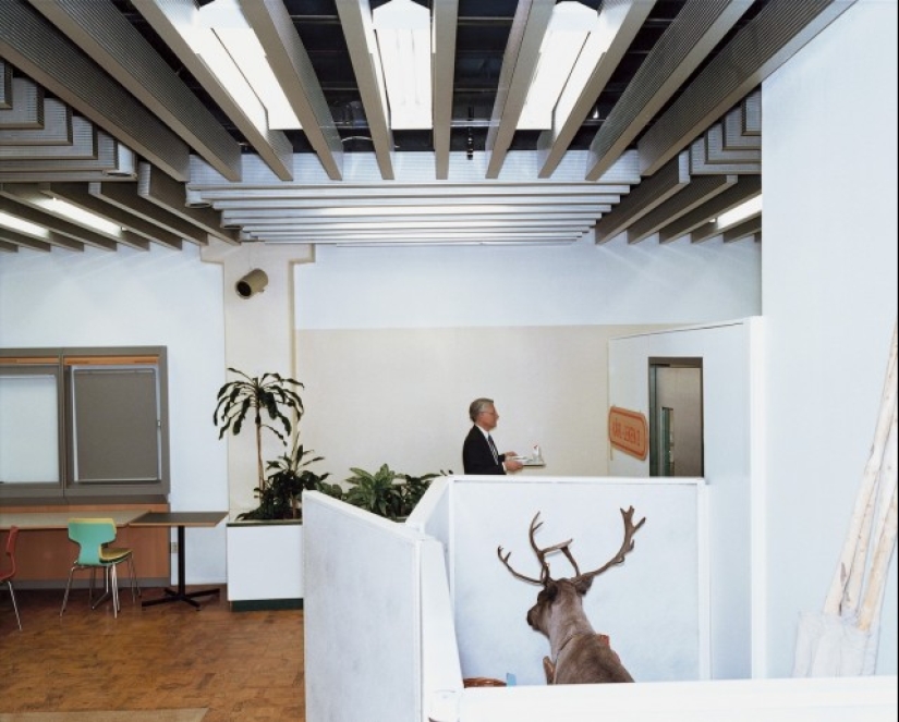 Absurd Stories in Photographs by Lars Tunbjörk Absurd Stories in Photographs by Lars Tunbjörk