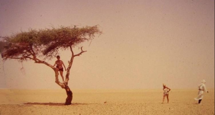 Acacia Tenere - the loneliest tree on our planet Acacia Tenere - the loneliest tree on our planet