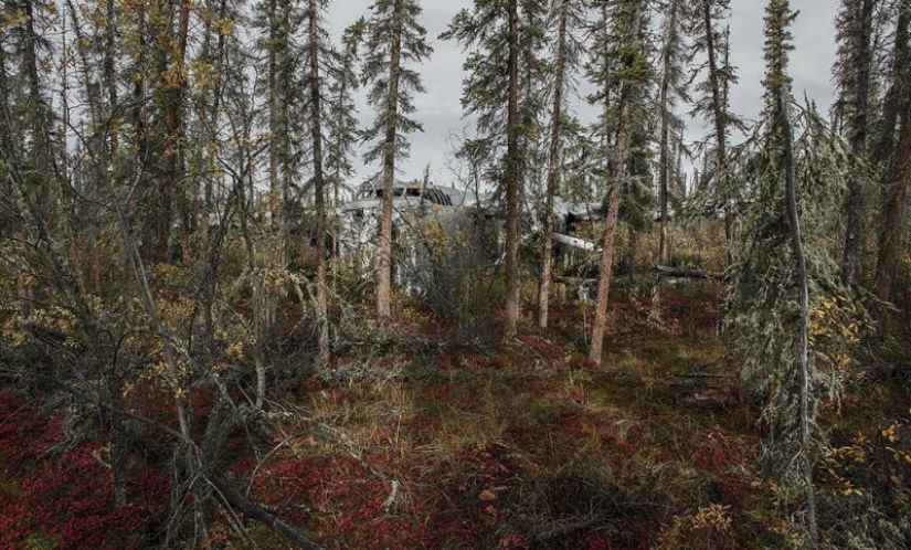 Accidentes de avión que terminaron en un final feliz