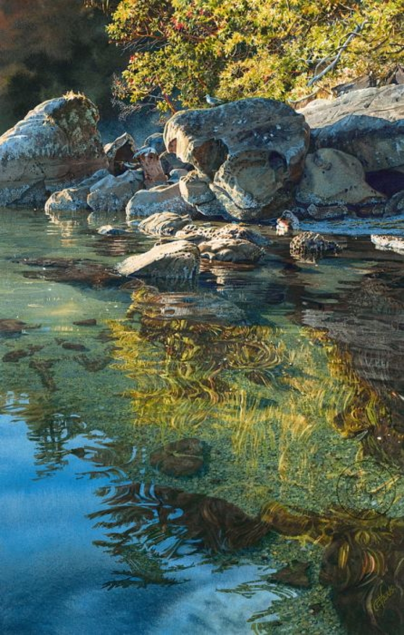 Acuarela realismo: los increíbles paisajes Carol Evans