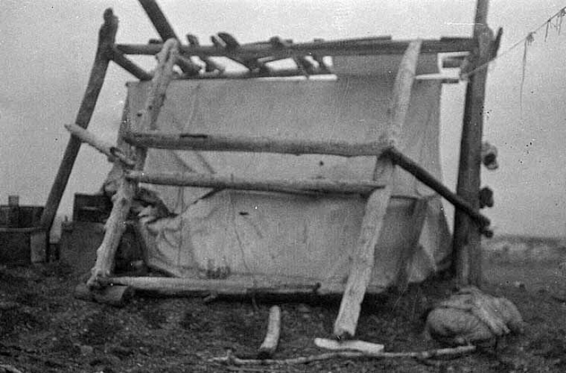 Ada Blackjack y su asombrosa historia de supervivencia en solitario en el Ártico Ada Blackjack y su asombrosa historia de supervivencia en solitario en el Ártico